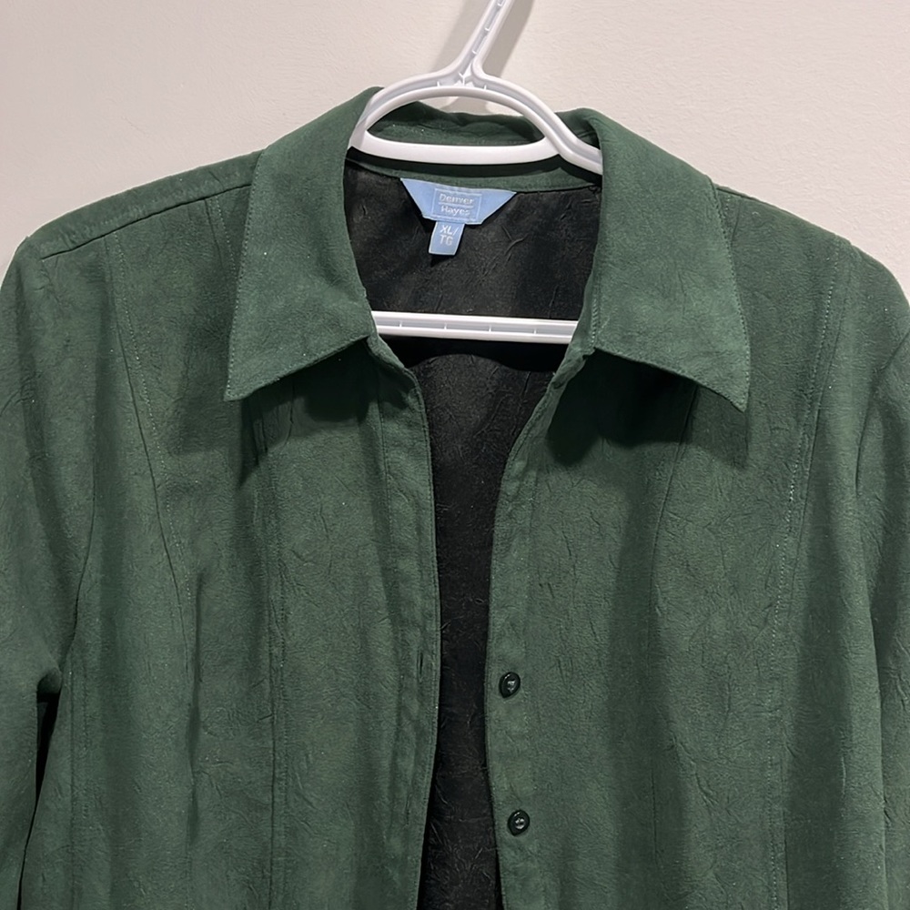 Suede Button Up - Picture 3 of 6